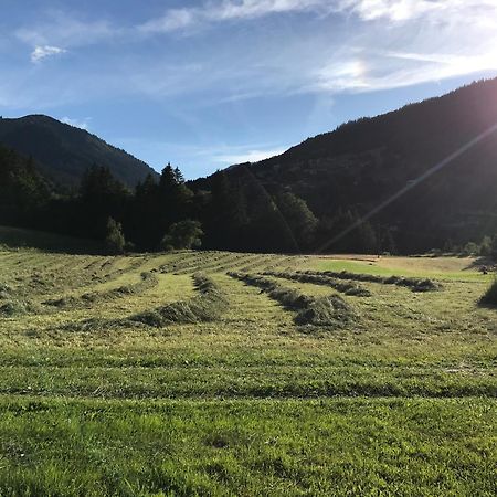 Chalet La Merlerie Morzine Bagian luar foto