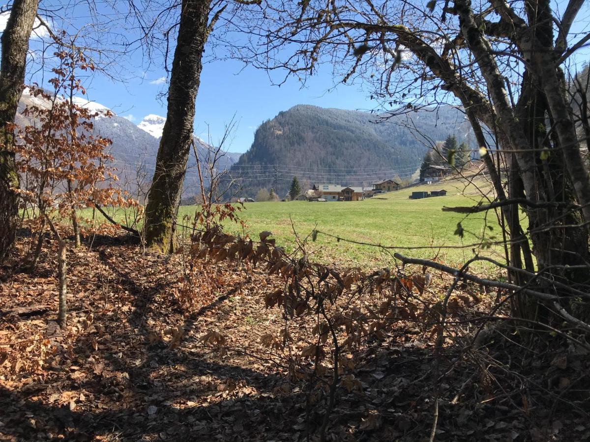 Chalet La Merlerie Morzine Bagian luar foto
