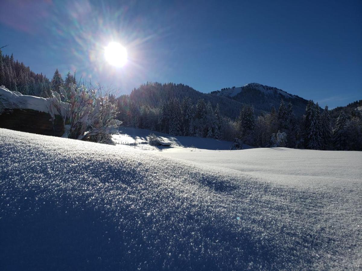 Chalet La Merlerie Morzine Bagian luar foto