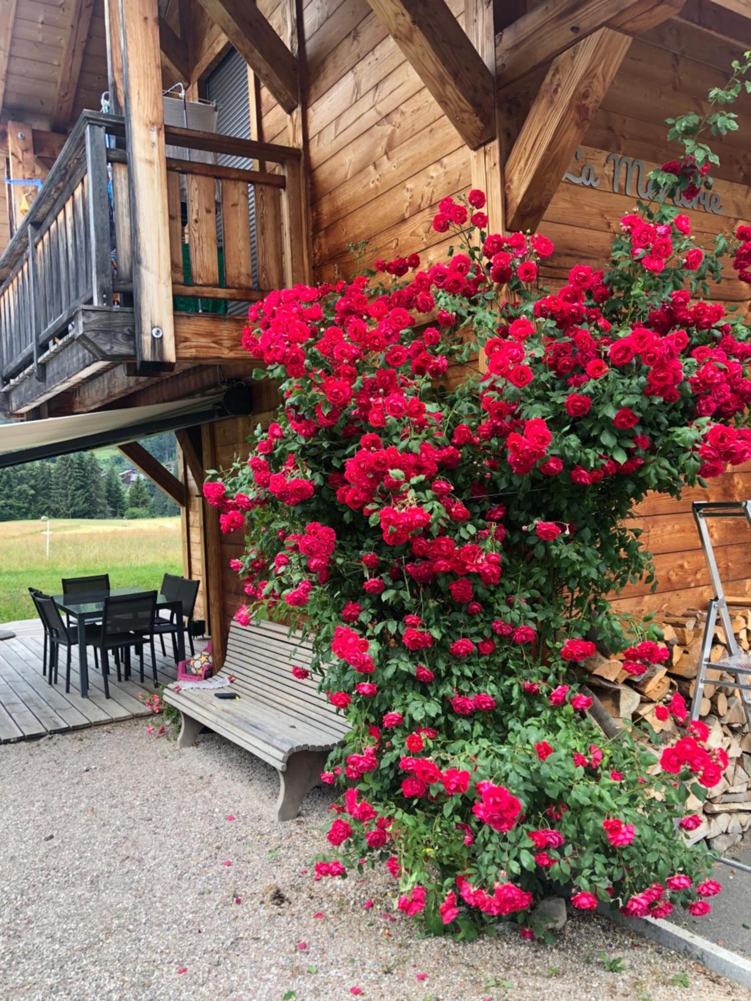 Chalet La Merlerie Morzine Bagian luar foto