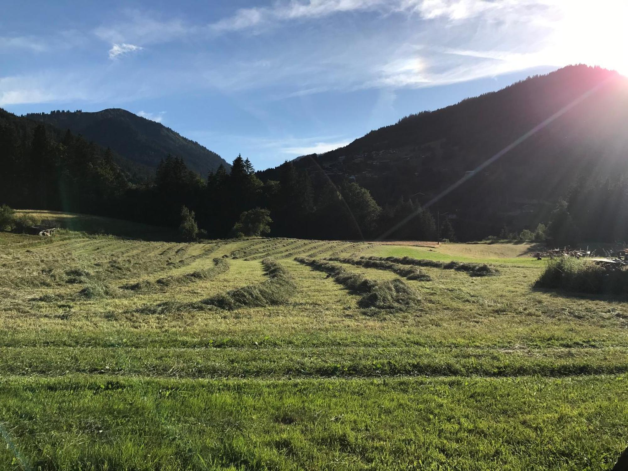 Chalet La Merlerie Morzine Bagian luar foto