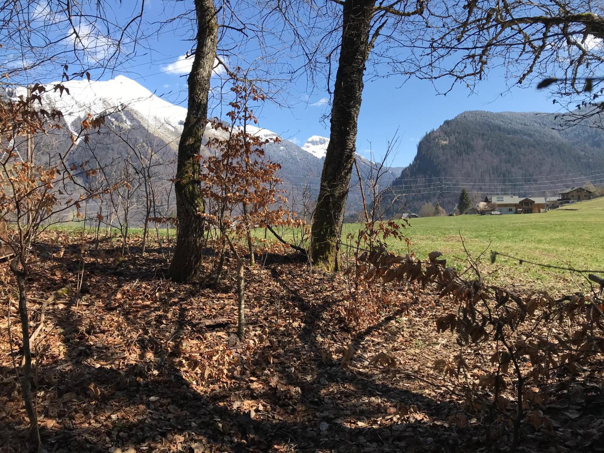 Chalet La Merlerie Morzine Bagian luar foto