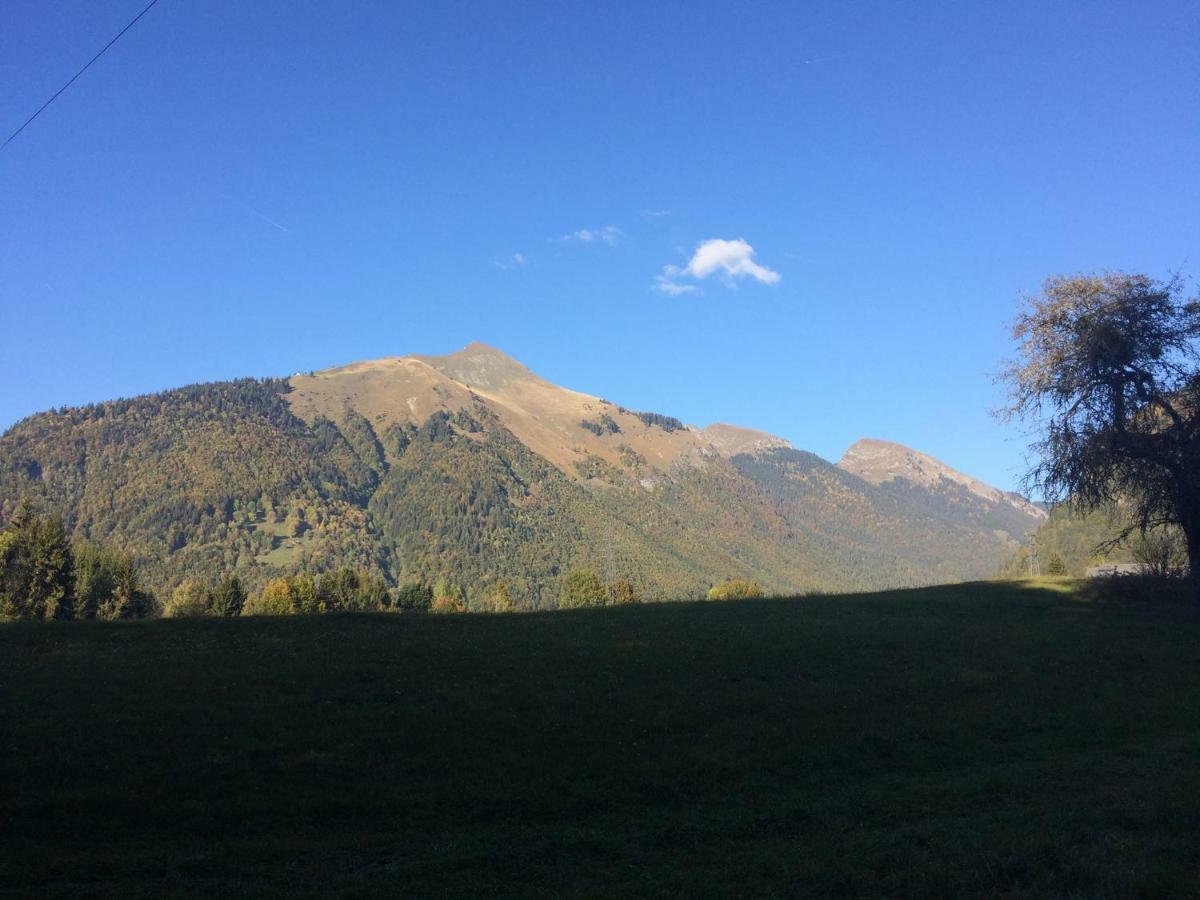 Chalet La Merlerie Morzine Bagian luar foto